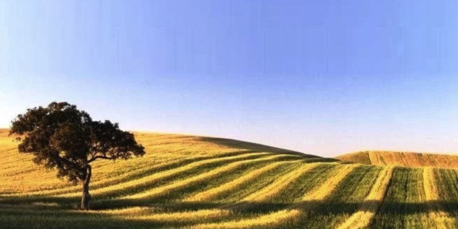 Chineses avançam para novo projeto de energias renováveis no Alentejo